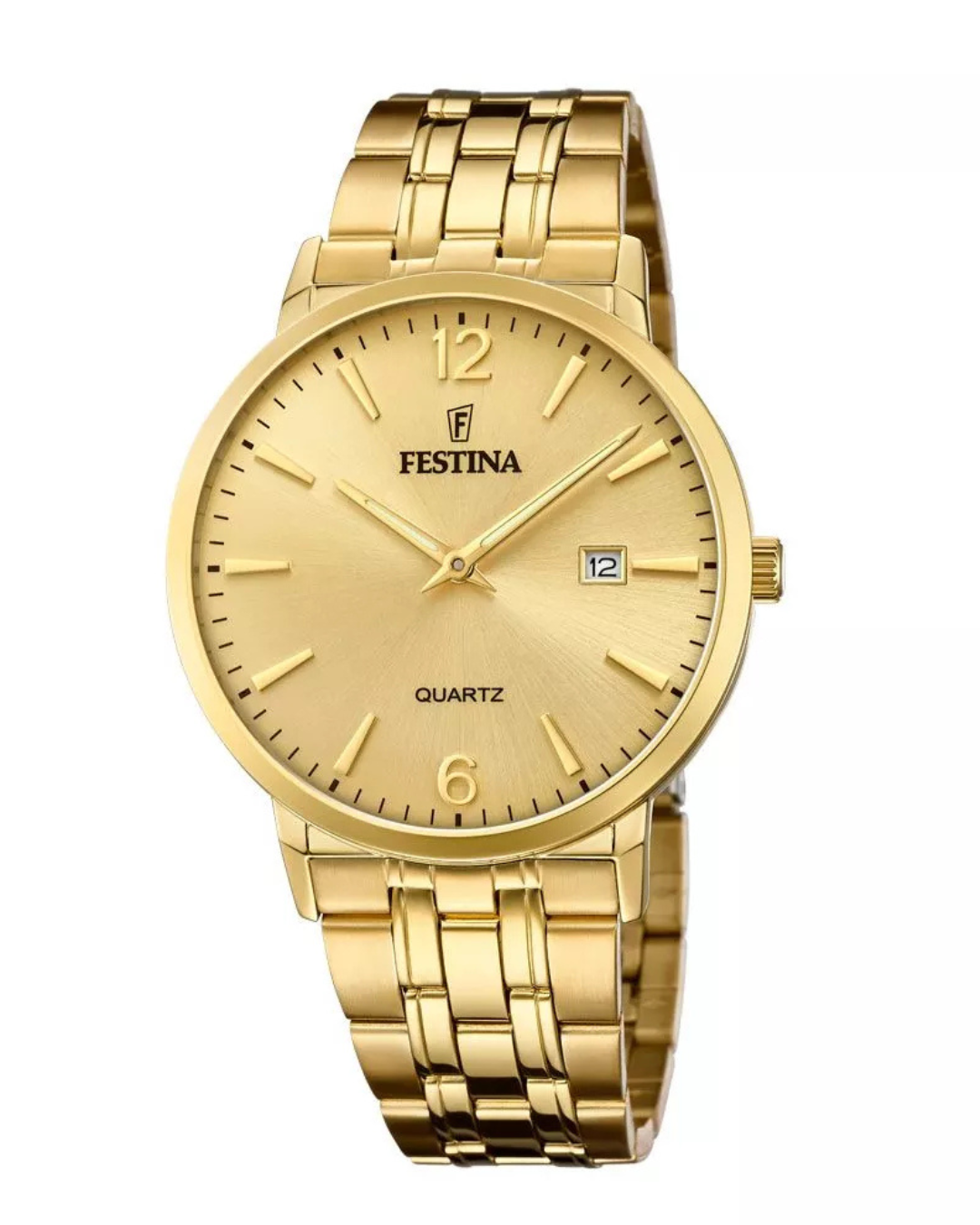 Gents Festina F20513/3