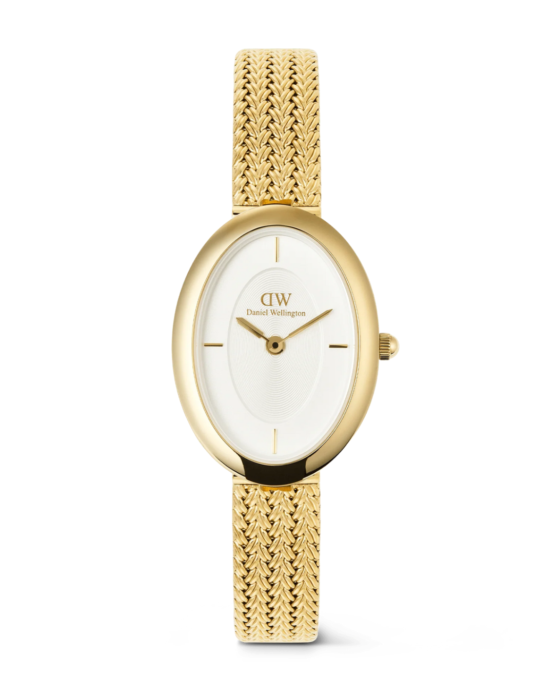 Daniel Wellington Ladies Oval Braided DW00100882
