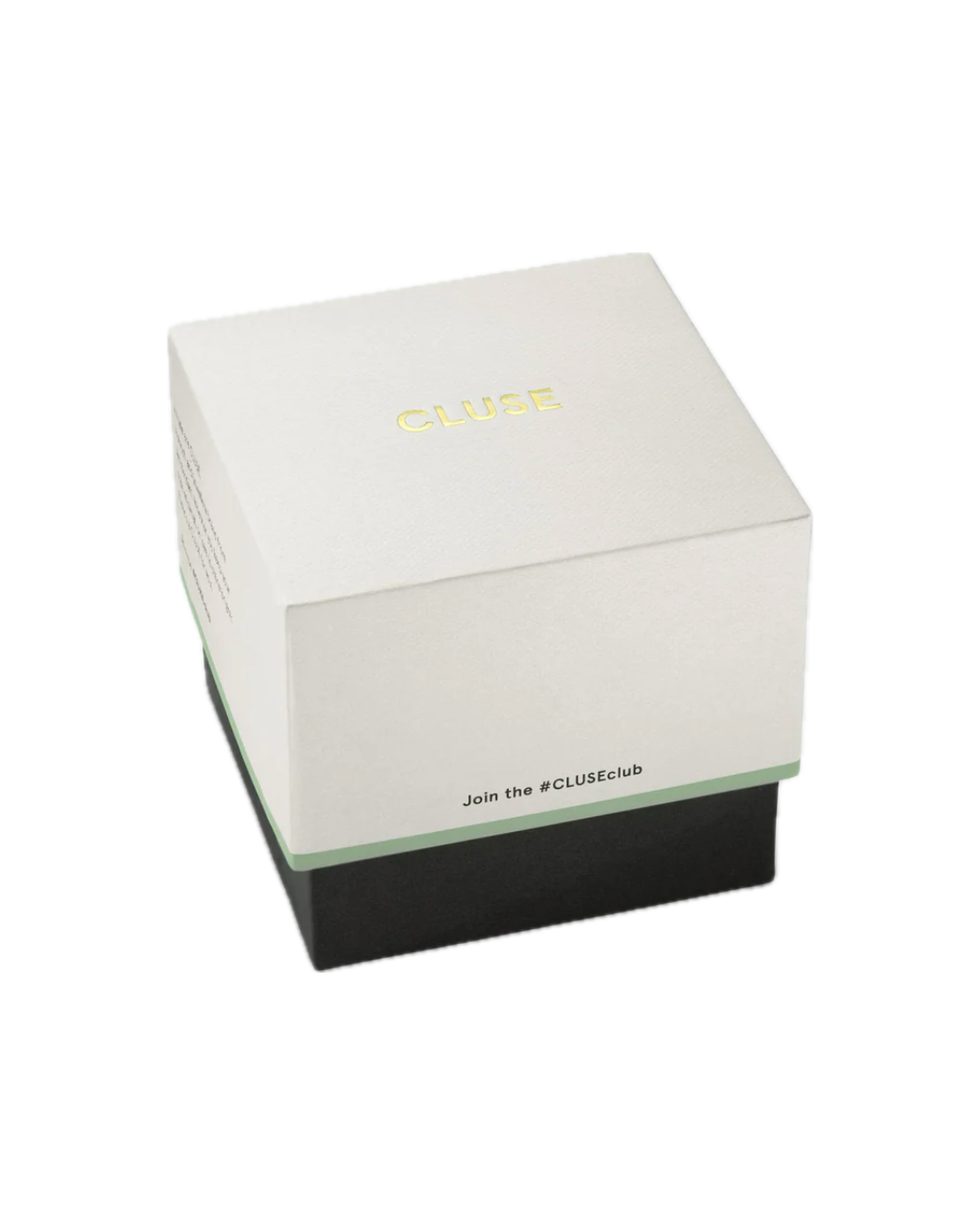 Cluse L'Ovale Watch Steel, White, Silver Colour CW16102