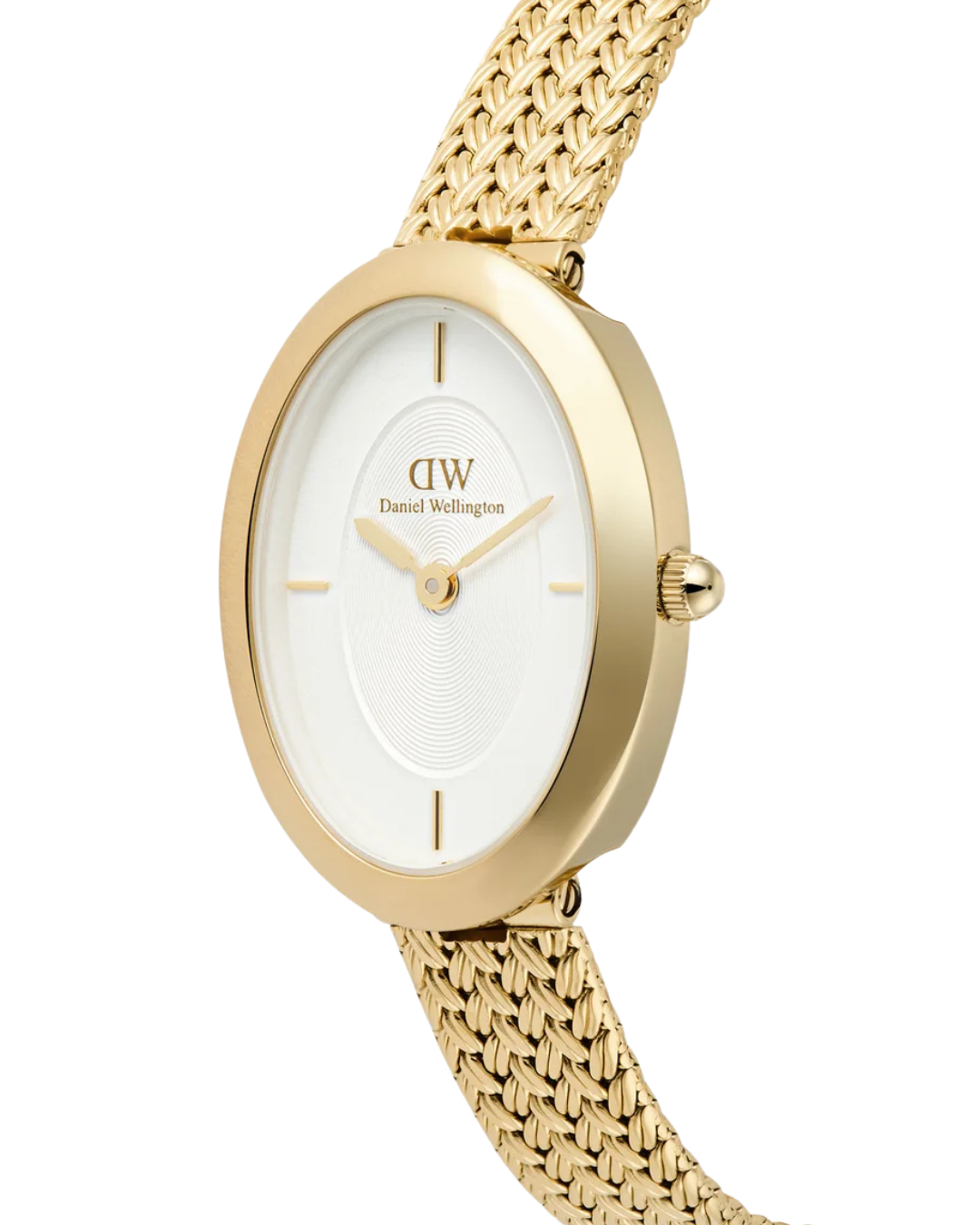 Daniel Wellington Ladies Oval Braided DW00100882