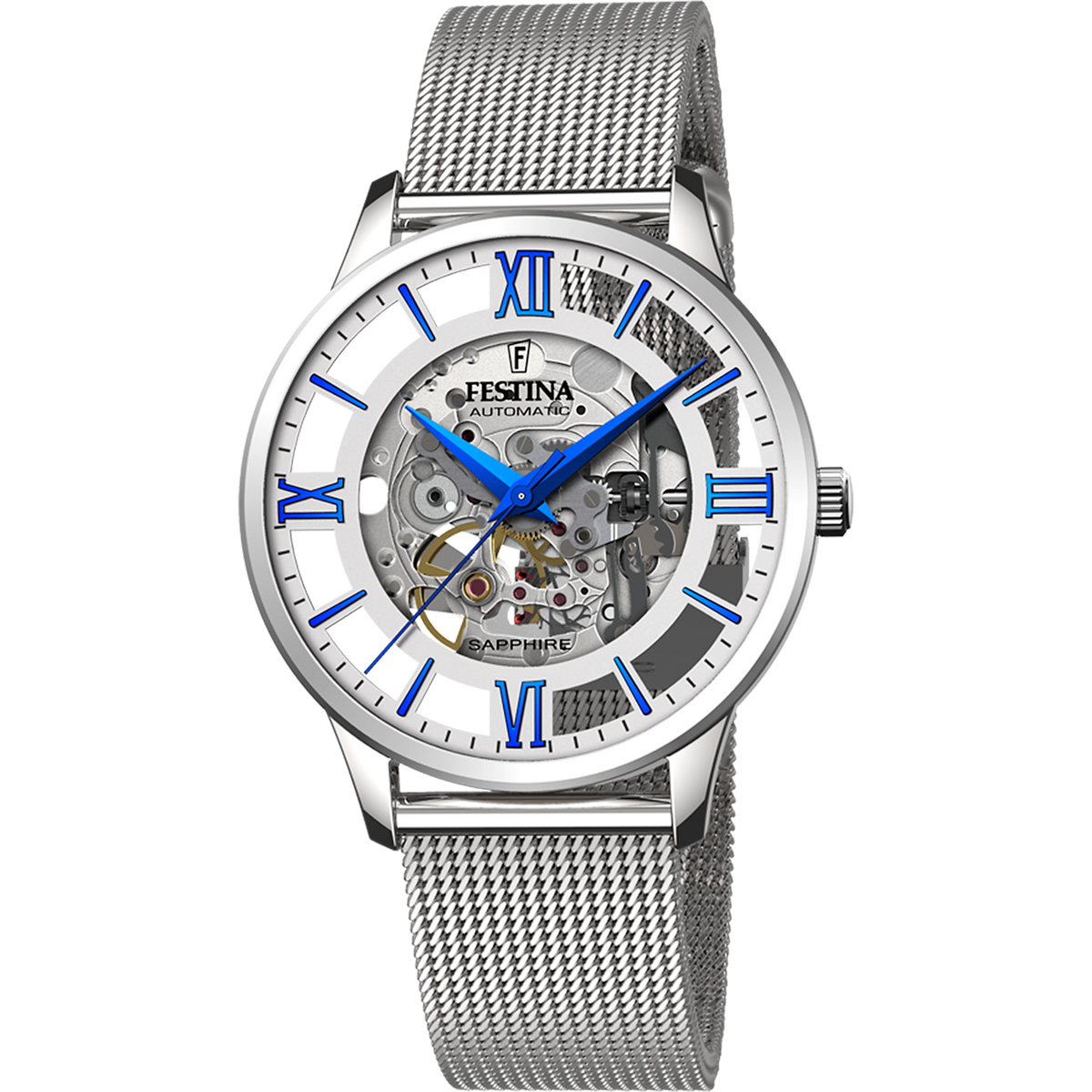 Festina Gents F20534/1