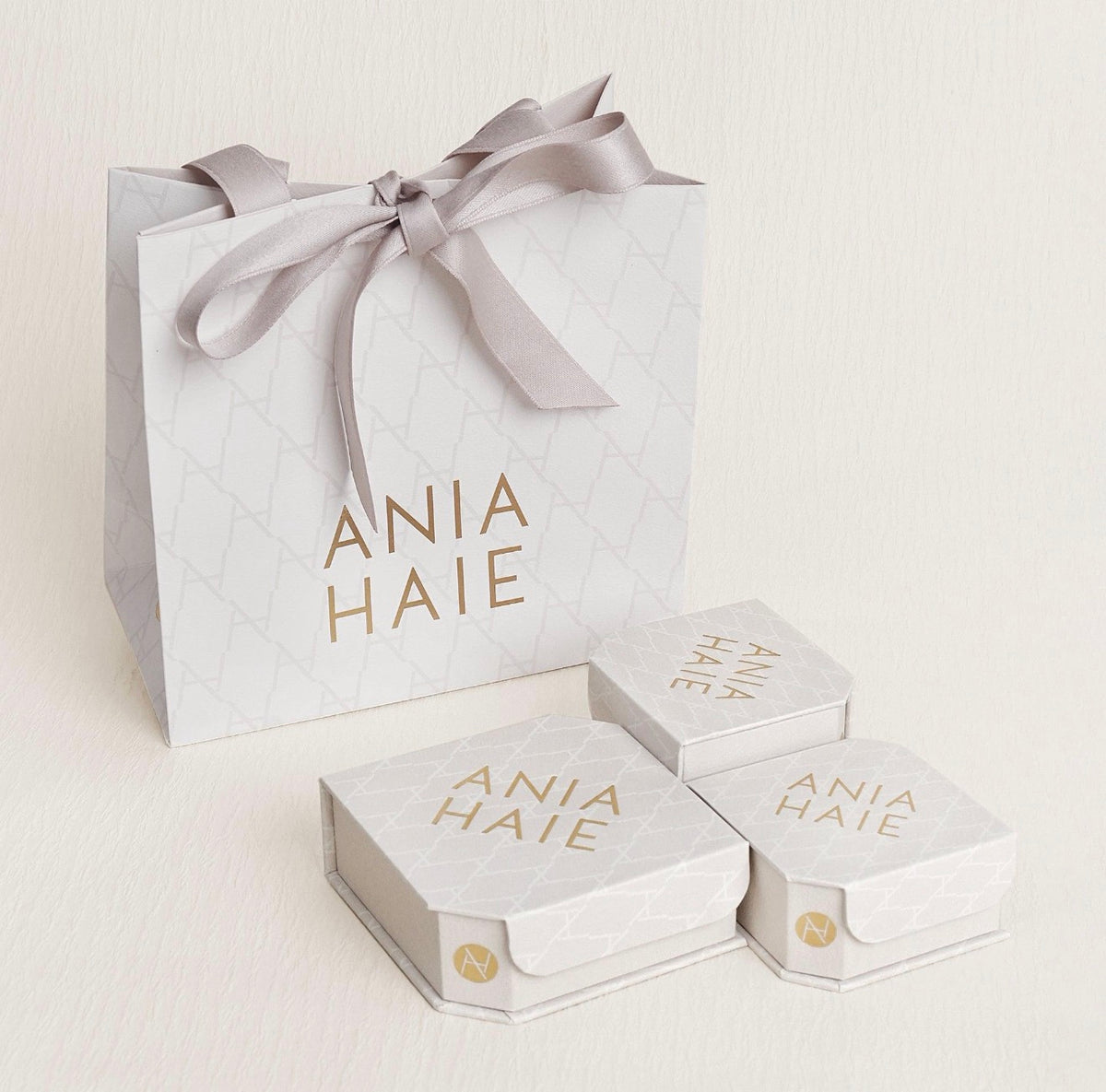 Ania Haie Two-Tone Row Bezel Huggie Earrings E060-03T