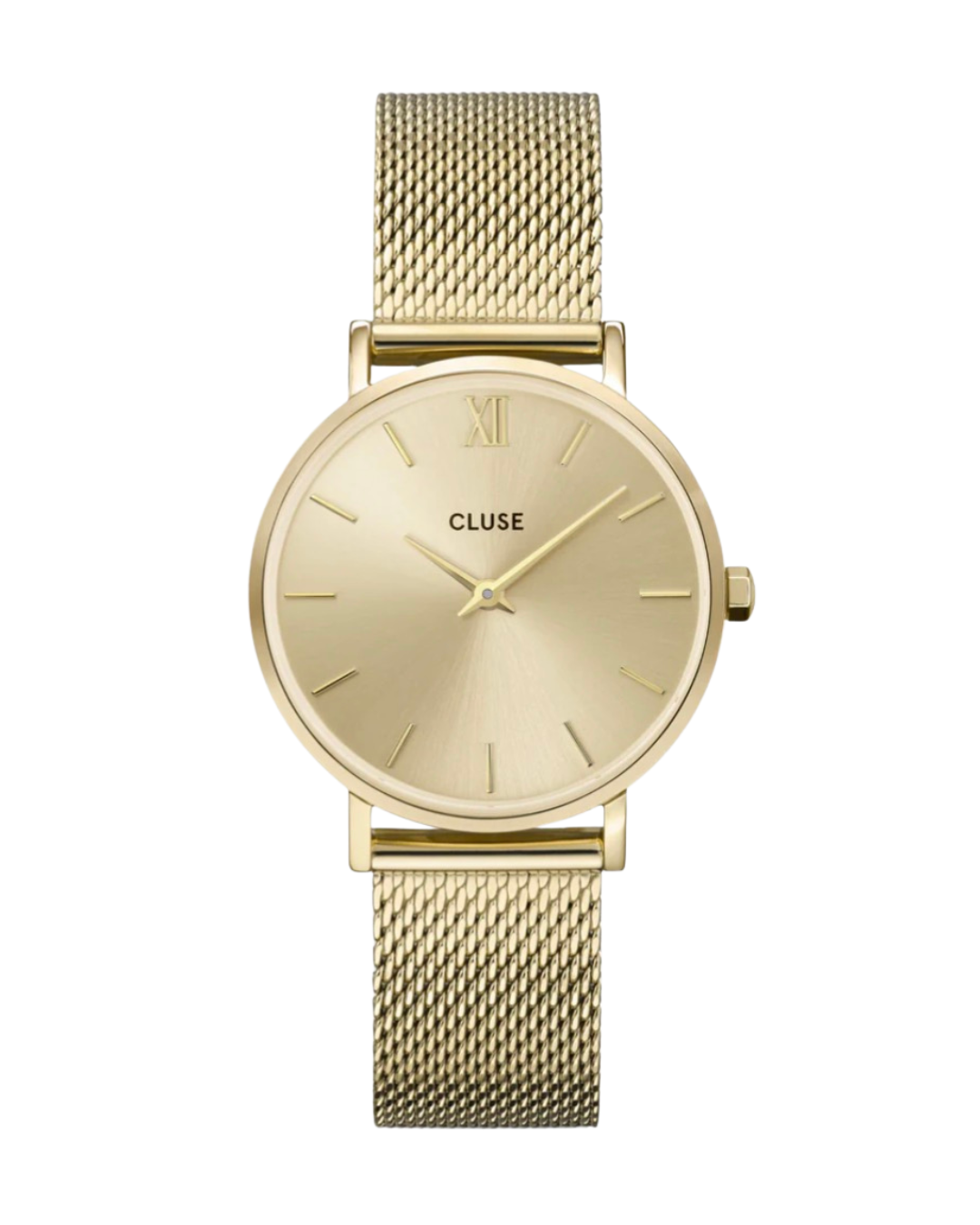 Cluse Minuit Watch Mesh CW10208