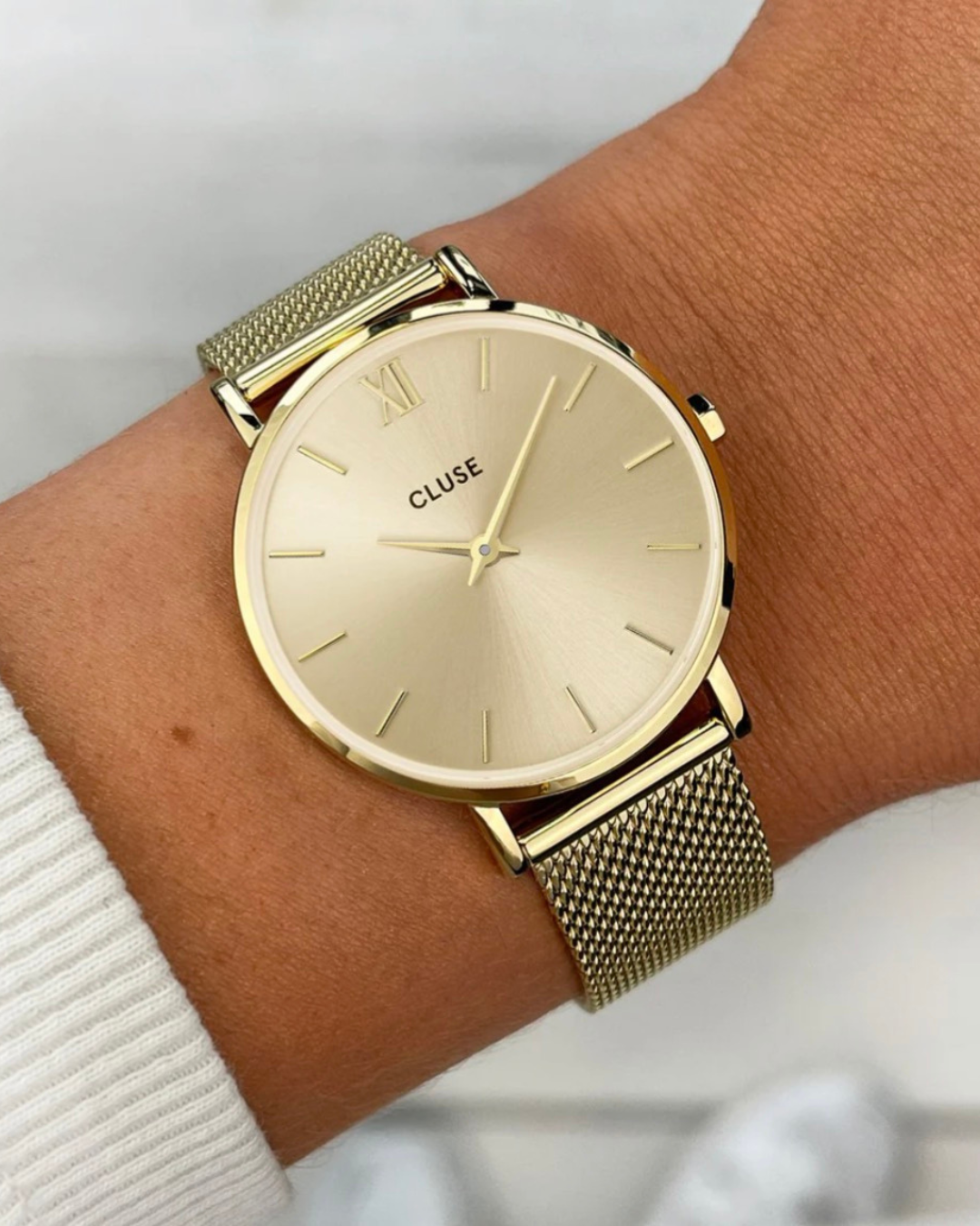 Cluse Minuit Watch Mesh CW10208