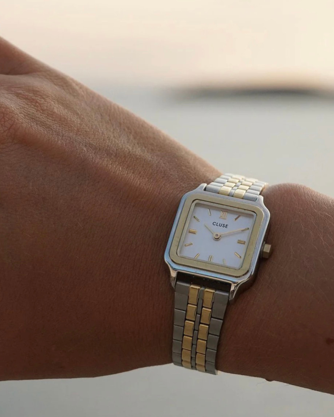 Cluse Gracieuse Petite Watch CW11801